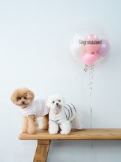 BUBBLE BALLOON sizeL ピンク