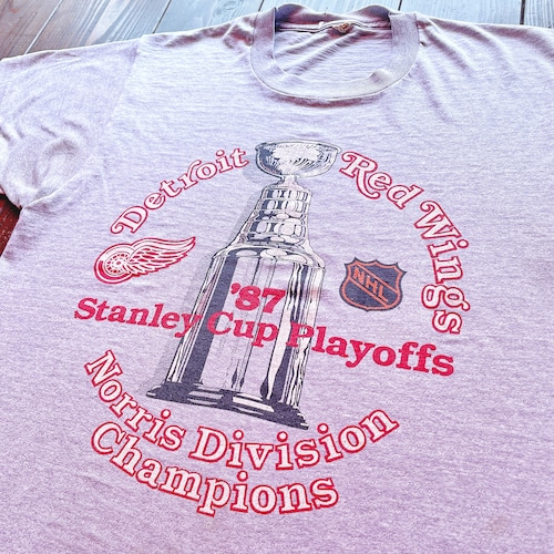 87s  NFL 〝DetroitRedWings〟NorrisDivisionChampion T-Shirt