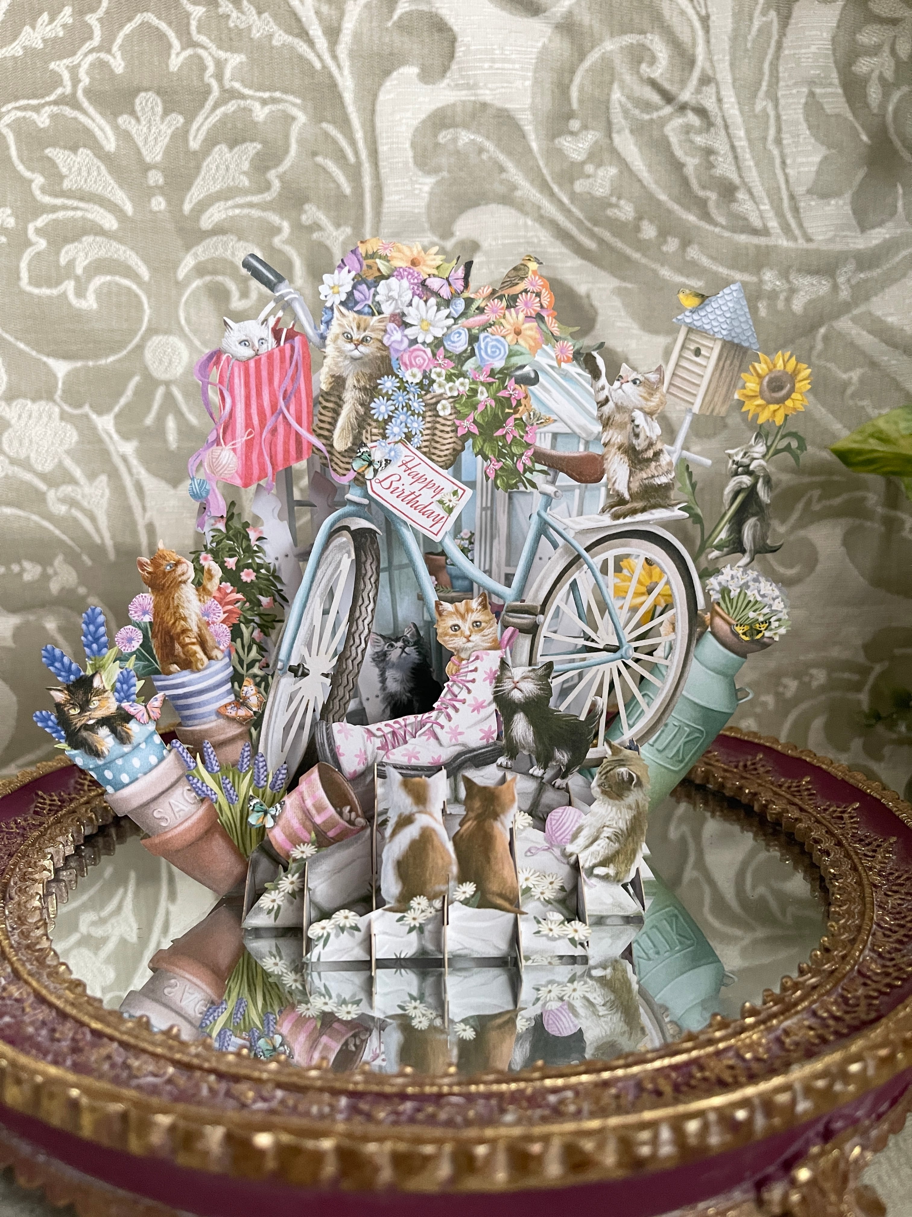 ◆子猫◆バースデーカード◆立体３D◆POP UP◆バースデーカード◆Me & McQ◆英国製◆