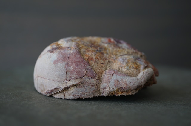 コールドマウンテン・サンダーエッグ Cold Mountain Thunderegg 2365