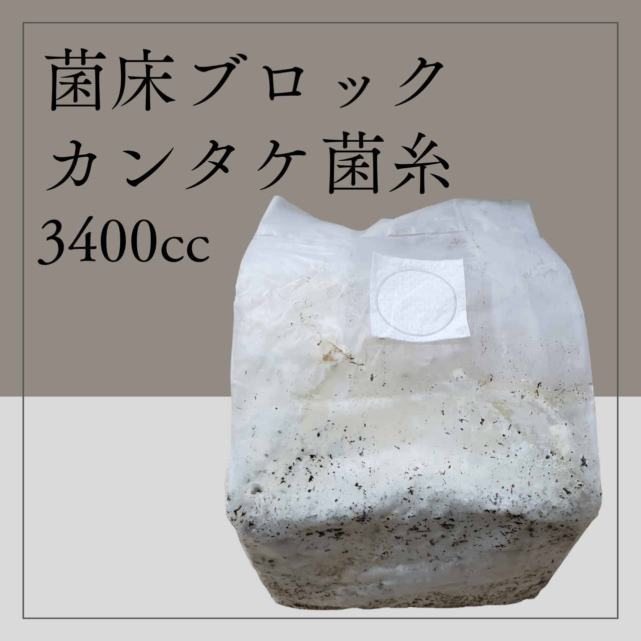 菌床ブロック 3400cc 家殖床 カンタケ菌糸 | 輝心堂 最高級菌糸瓶販売