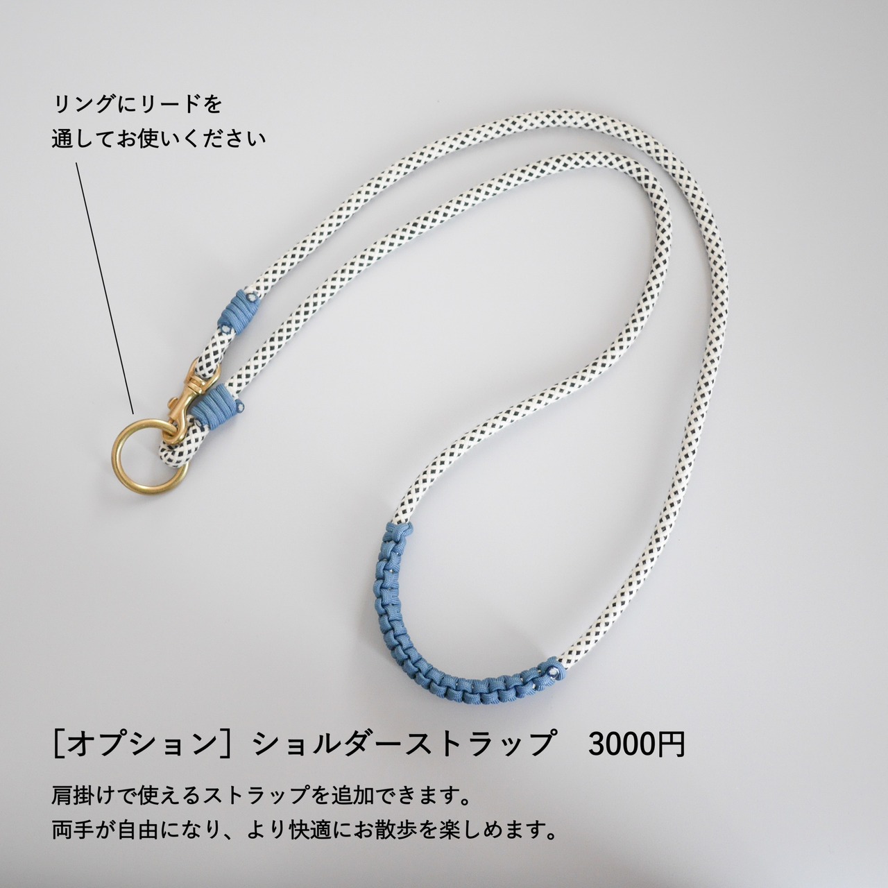 ドッグリード│ピクセル