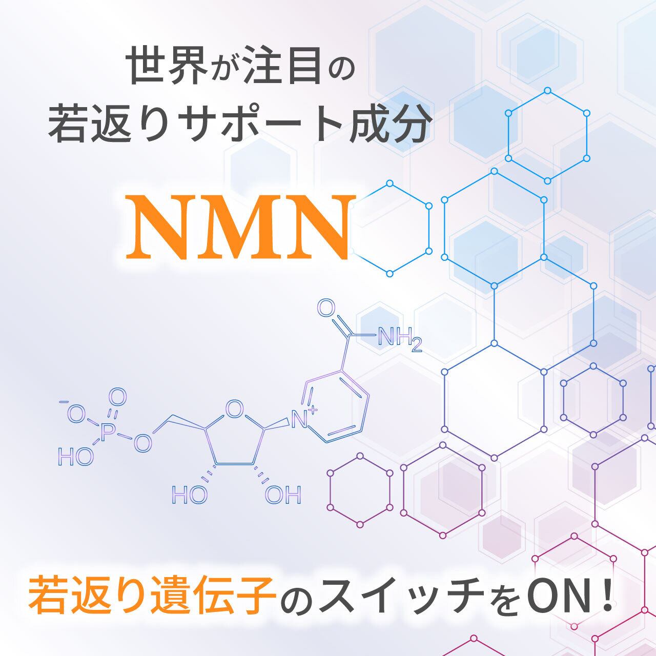 ダーウィン】 リジェニティ FKクリーム | DARWIN