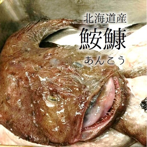 生鮟鱇 北海道産・青森県産 他 アンコウ鍋用 約3kg 【鮟鱇3K】 冷蔵 極上アンコウ