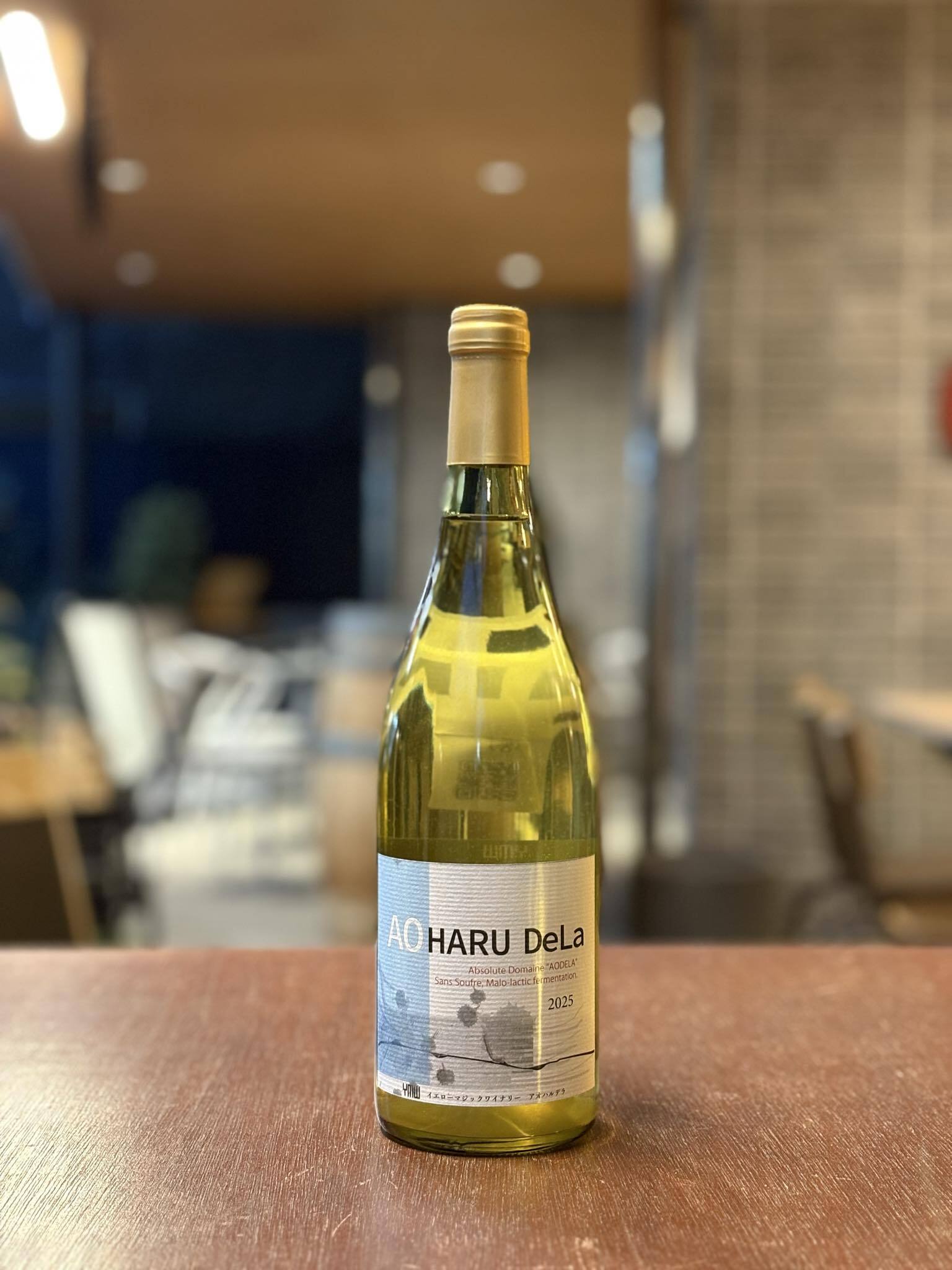 2024 SAUVY B / KIYO wines 【日本・北海道】 | ウィルトスワイン