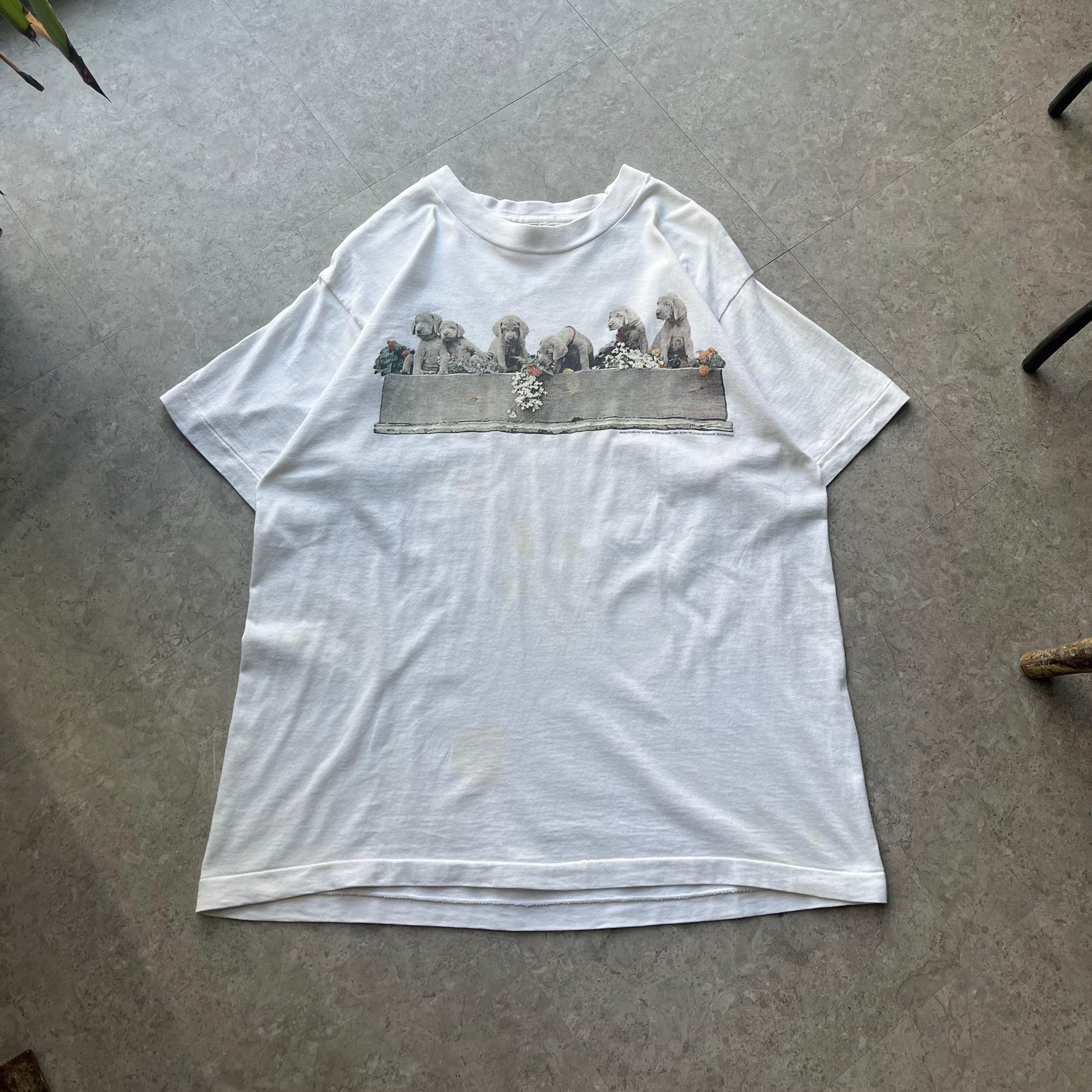 1995s WILLIAM WEGMAN T-shirt【仙台店】