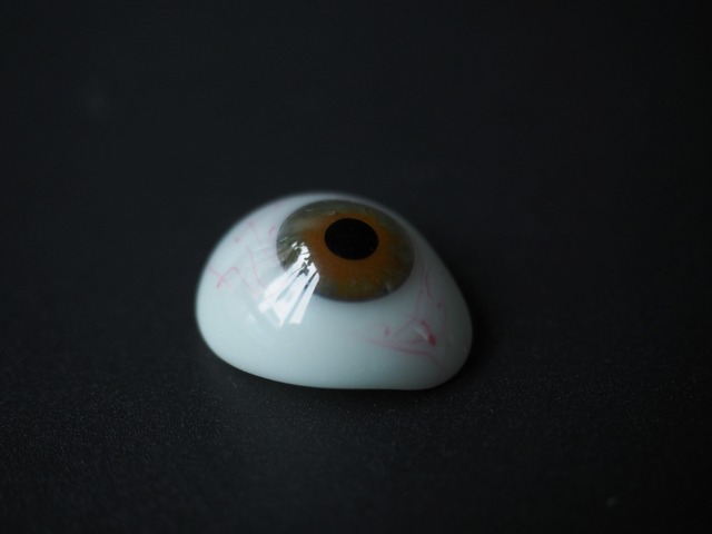 義眼  149