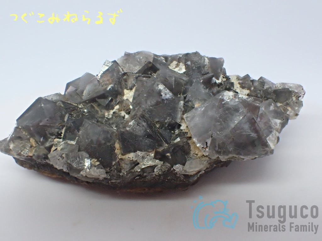 フローライト 蛍石 Fluorite イギリス TM-0038