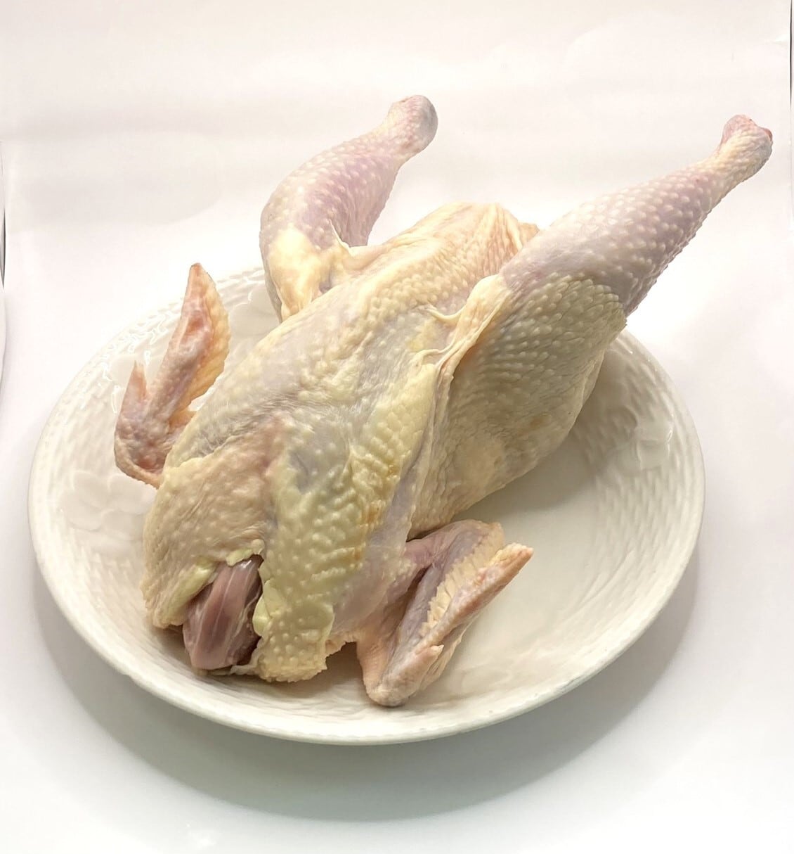 会津地鶏 丸鶏中抜き(メス) 1羽 冷凍 ※1.6K～1.8K前後 | さくらフーズ