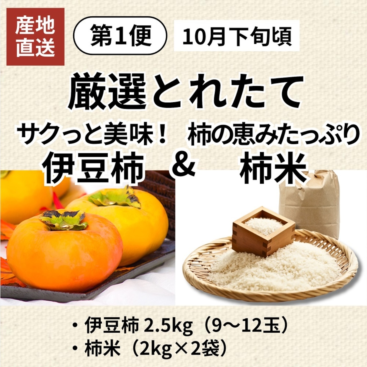 【予約・10月末より発送開始】【2026年産】柿壺の定期便
