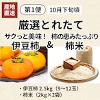 【予約・10月末より発送開始】【2026年産】柿壺の定期便