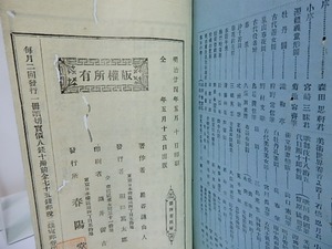 かた糸　文学世界第四　/　巌谷小波　　[26686]