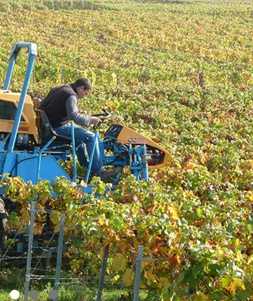 ★新着ワイン★【カゼ・ティボー】 ジョシア 2020