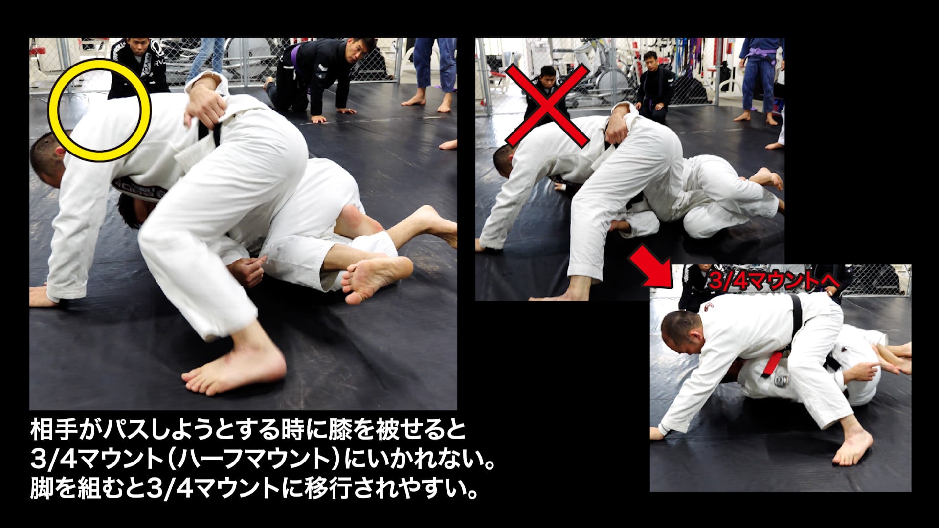 木部亮 TACTICAL REVERSE HALF GUARD 戦術的リバースハーフ 木部亮 TACTICAL REVERSE HALF GUARD 戦術的リバースハーフ