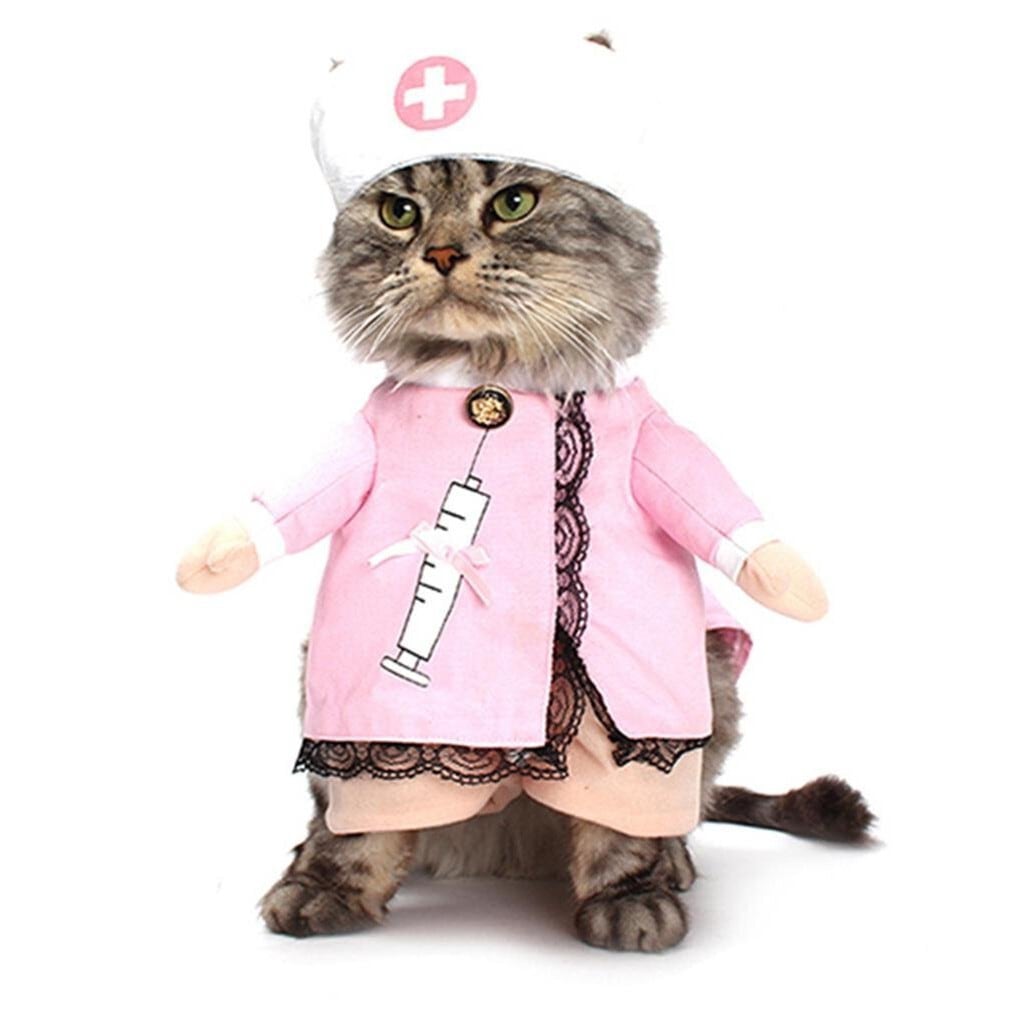【新作】【送料無料】 ペットナースが犬の立っているスーツの猫に変身したユニムの服の卸売に変身-アリババ 2AB-mew22678397067