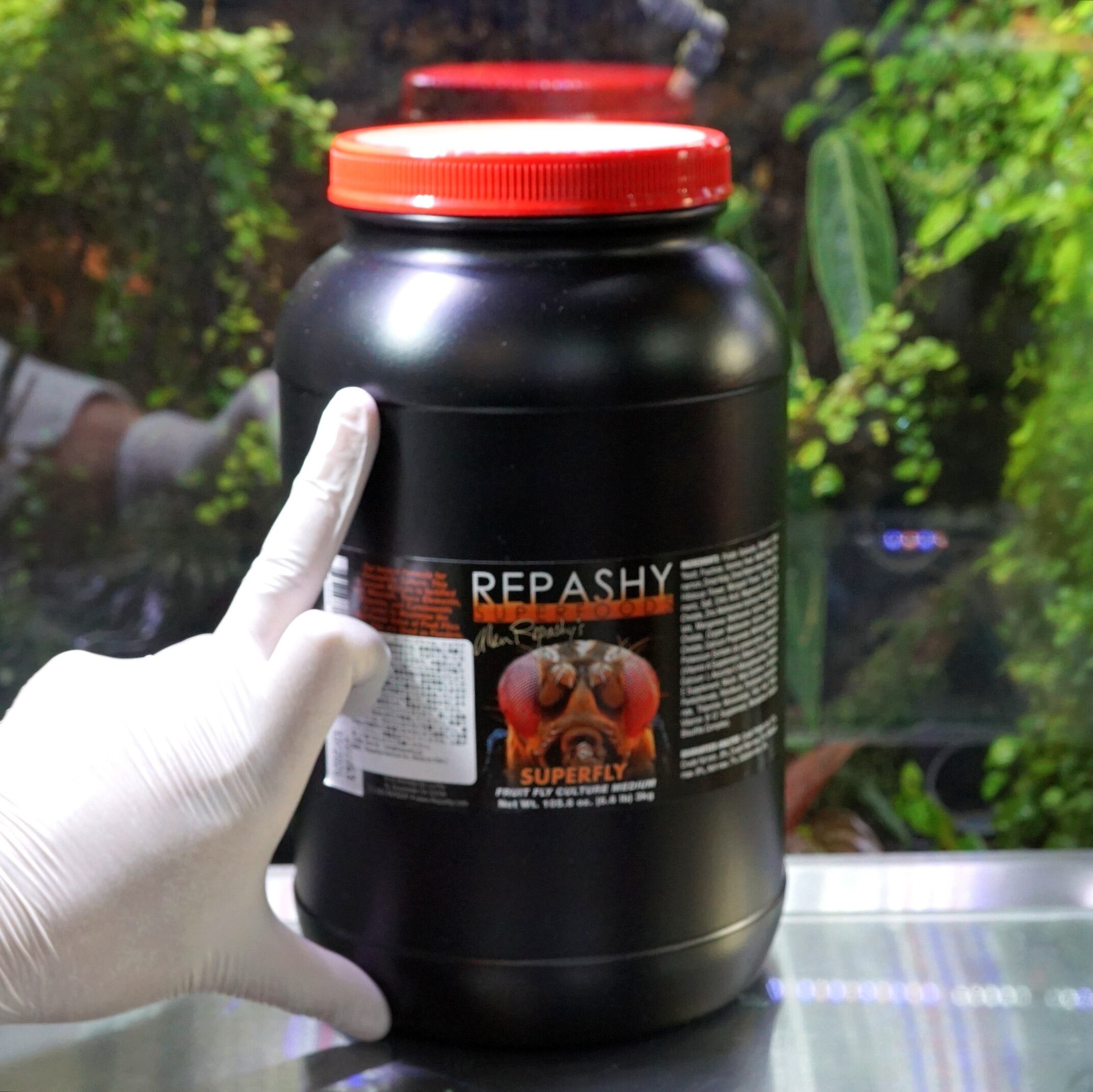 レパシースーパーフライ 3kg レパシー スーパーフライ 3kg Super Fly 105.6oz | ブルーゲッコーラボ