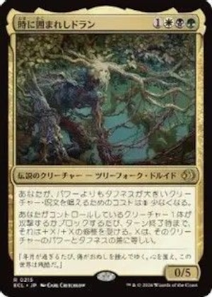 MTG《時に囲まれしドラン/Doran, Besieged by Time(ECL)》日本語 Foil