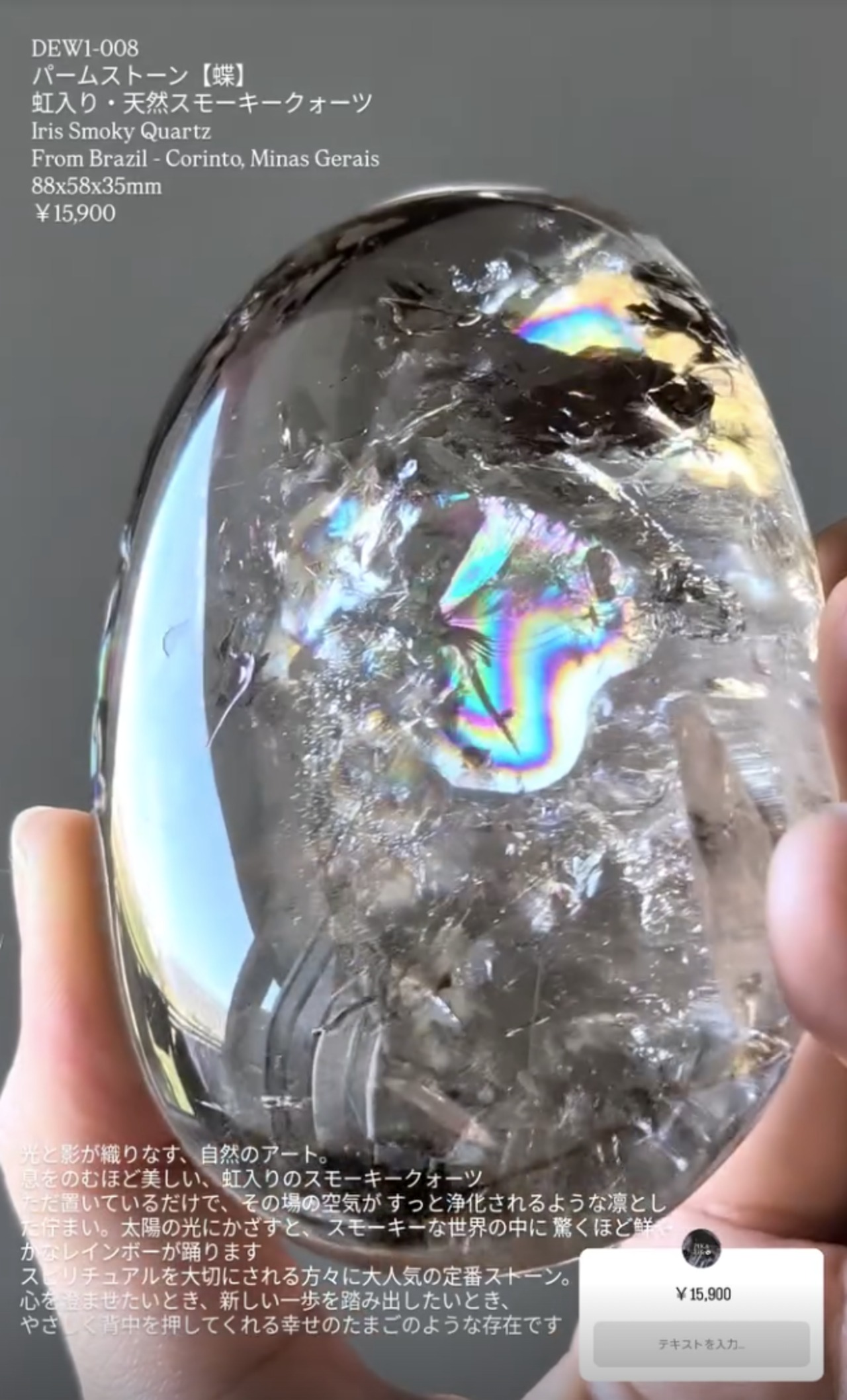 ⭔ お客様専用ページ ⭔ dango_1581様　