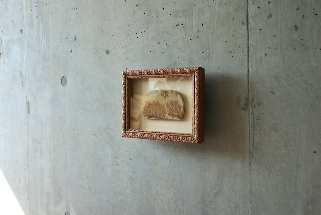 デンドライト 額装 Dendritic limestone 1044