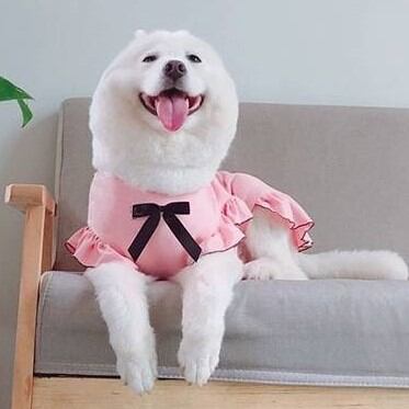 受注生産 4XL~6XL 首元のリボンが可愛いピンクのワンピース