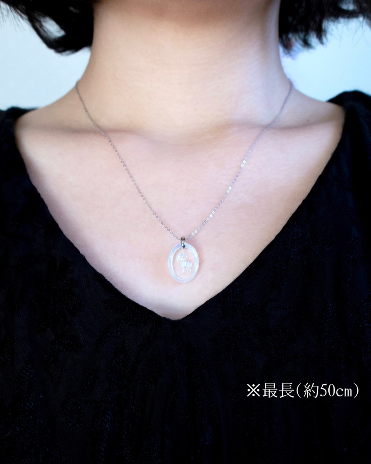 Zodiac signsーさそり座(2607-3)