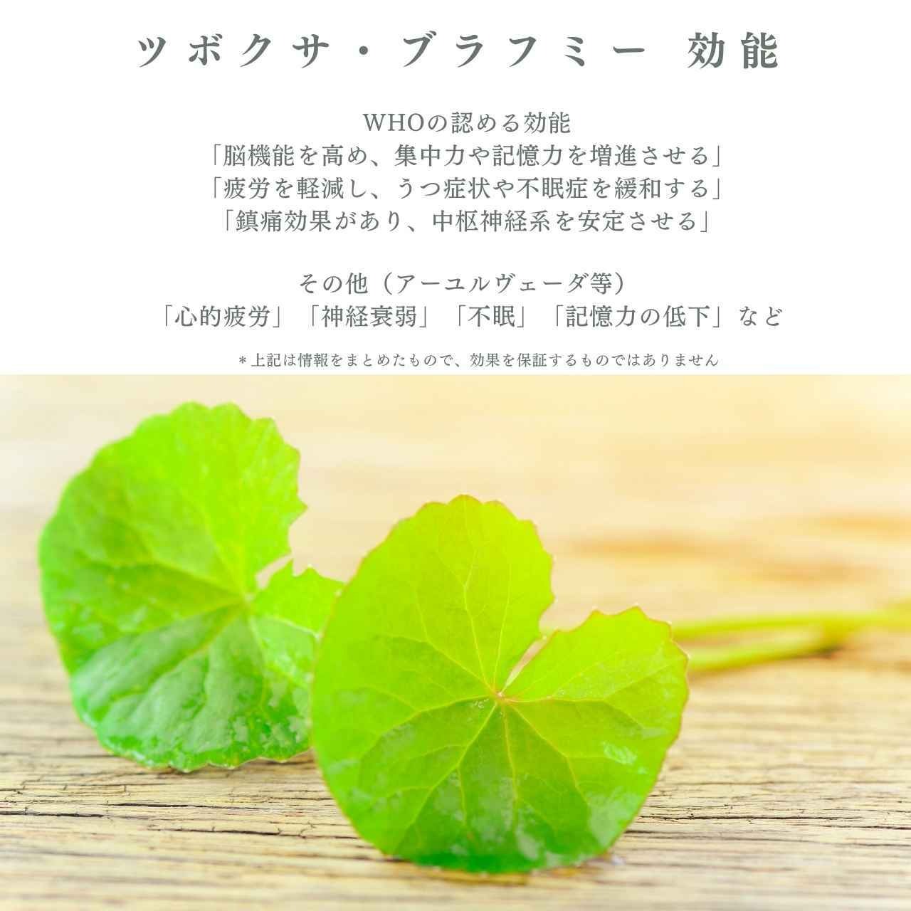 ツボクサ茶（ゴツコラ100％）｜もだま工房 石垣島産 無農薬有機栽培ハーブティ