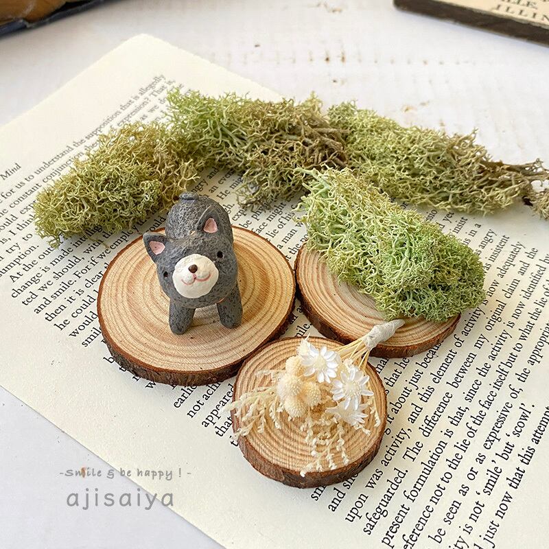 お家でほっこりガーデンシリーズ 【 首かしげ猫 】 動物フィギュアと  