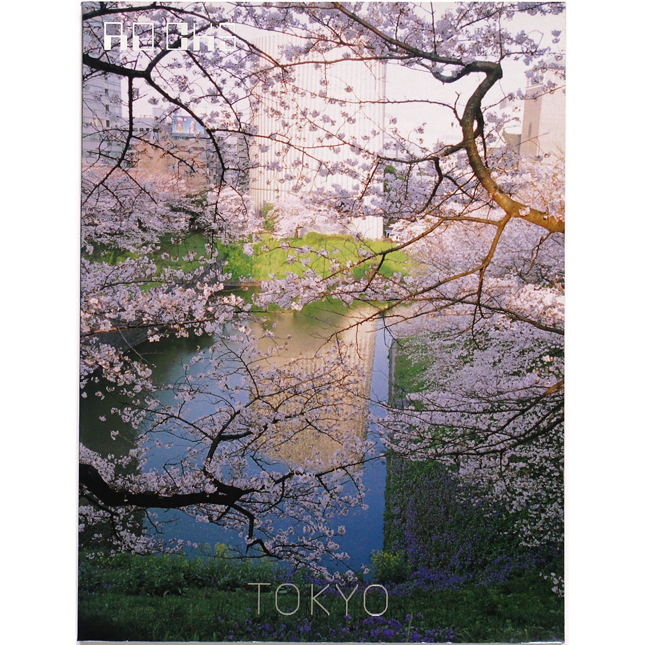 杉浦非水の眼と手 〈写生〉のイマジネーション | OTOGUSU Shop