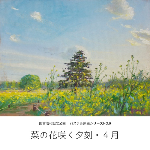 NO.9「菜の花咲く夕刻・4月」