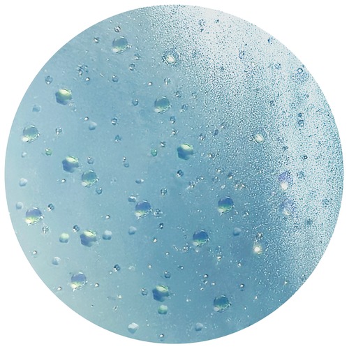 ANCLEF 006sd