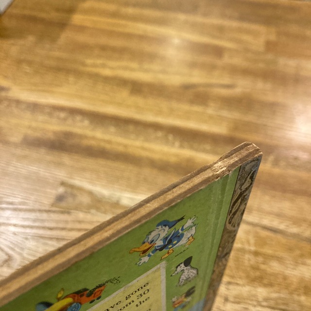 BUGS BUNNY AND THE INDIANS 百年