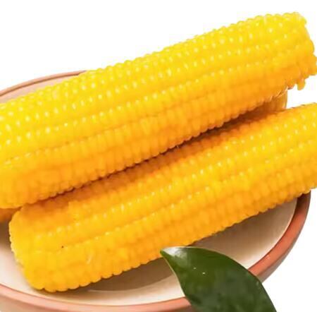 【10個セット】黄玉米(黏玉米)とうもろこし 糯玉米 真空パックコーン 中華食材 中国産 電子レンジOK トウモロコシ ワキシーコーン 玉米 苞米 粘苞米 黏玉米 玉米