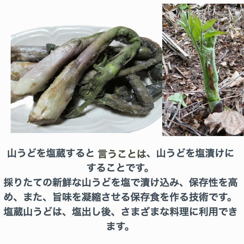 新鮮な天然山ウド10kg Amazon.co.jp: 山うど 約1kg | 山ウド 山独活