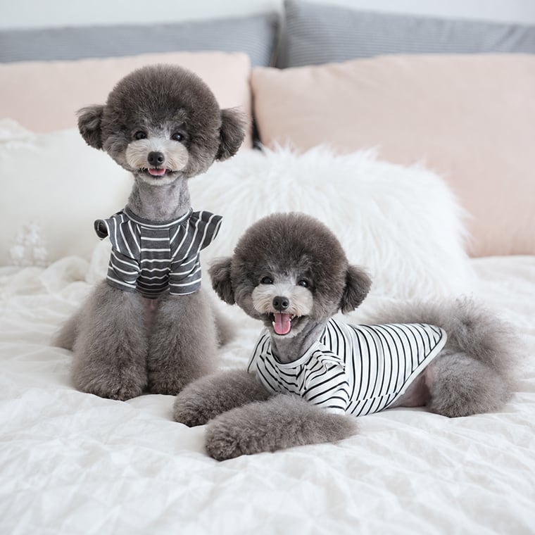 willy stripe t-shirt S ~ XL 2color / 犬服 フリル ボーダー Tシャツ ブラウス ドッグウェア シンプル トップス お出かけ ストライプ 長袖