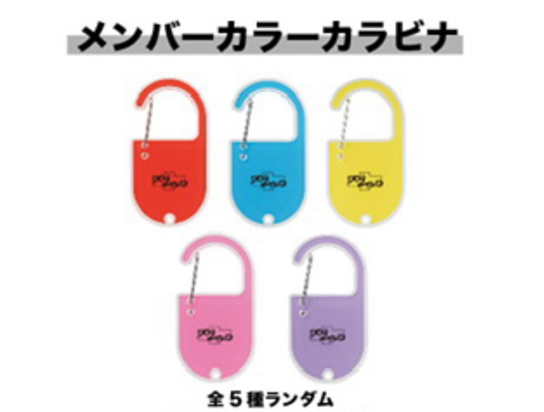 メンバーカラーカラビナ 全5種 | DOG inThePWO OFFICIAL ONLINE STORE