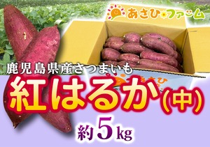 [人気の紅はるか】焼き芋や炊飯器でのふかし芋におすすめ！鹿児島県産さつまいも【段ボール入り中・5㎏】