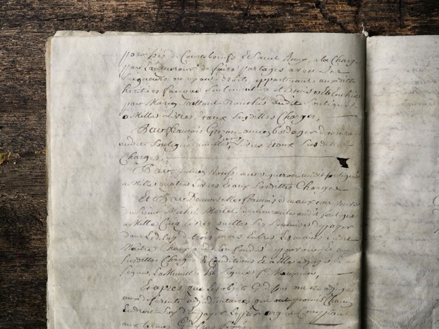 羊皮紙の古文書 Ⅲ