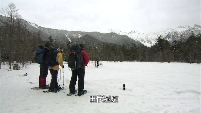 アドバンス山岳ガイド 雪の穂高岳 カテゴリ 【公式通販】
