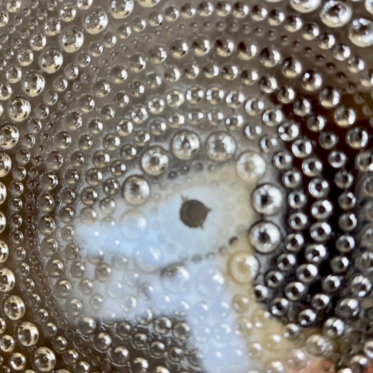 f8ee107355f62eabdd0814e5a54b4d