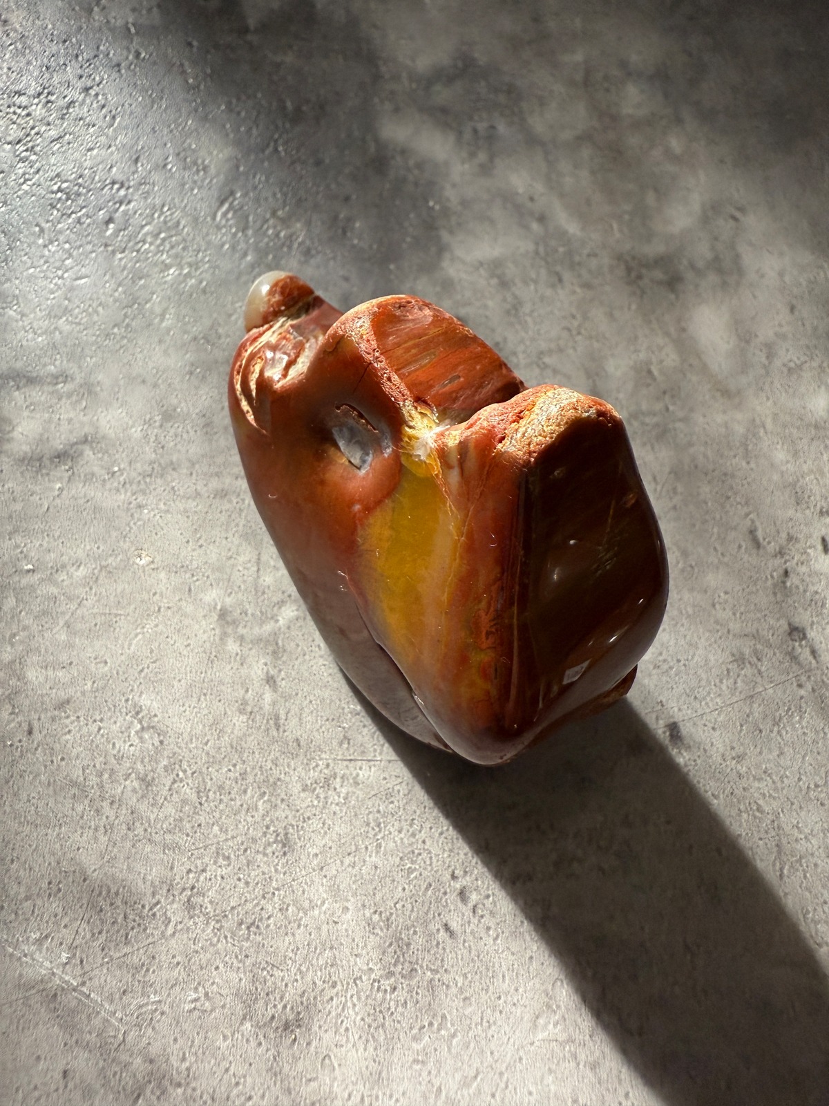 送料別】petrifiedwood ペトリファイドウッド 珪化木 | solin