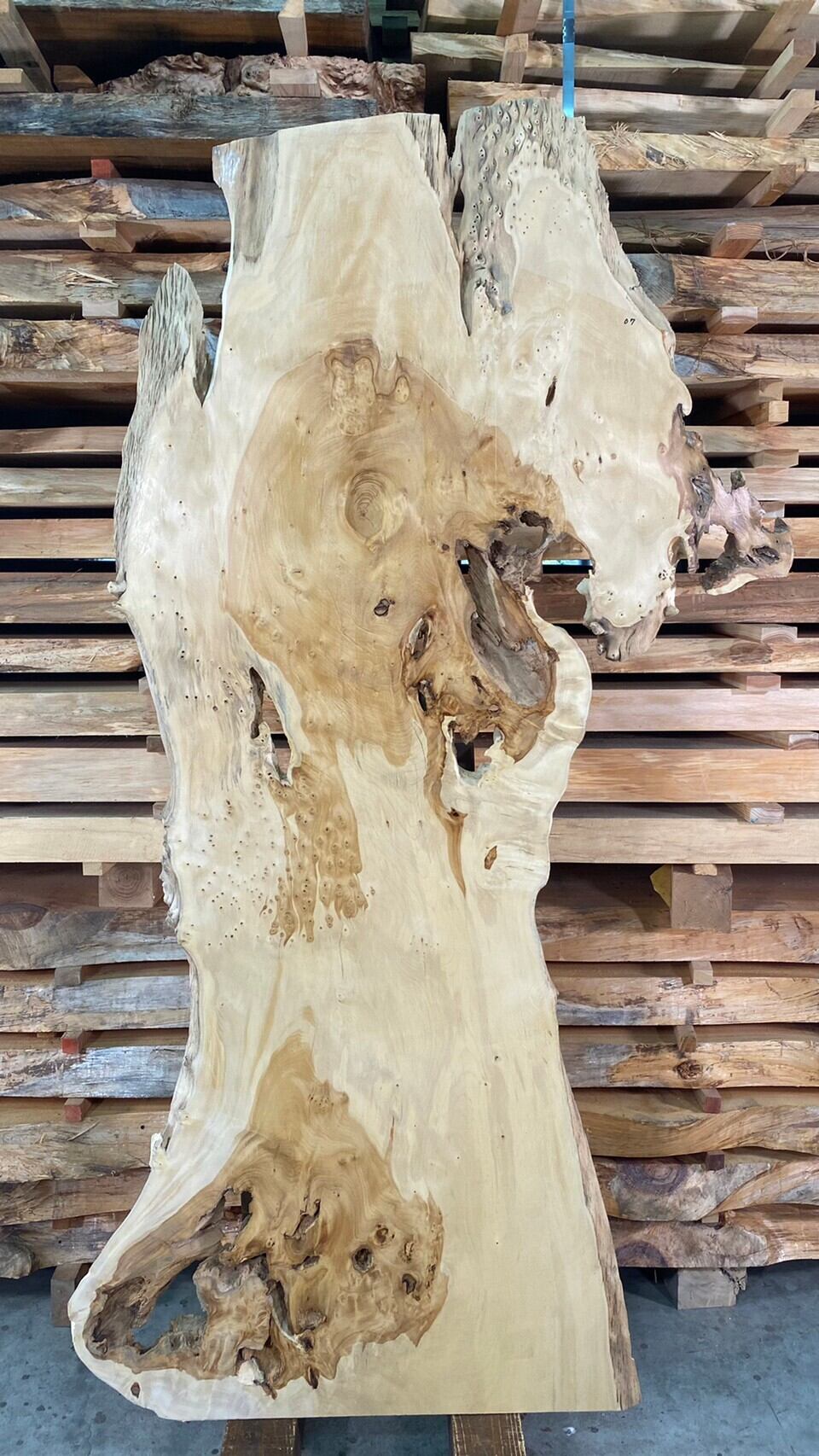 銀杏 07 一枚板 両面フラット加工済！ 棚板 カウンター レジン 瘤