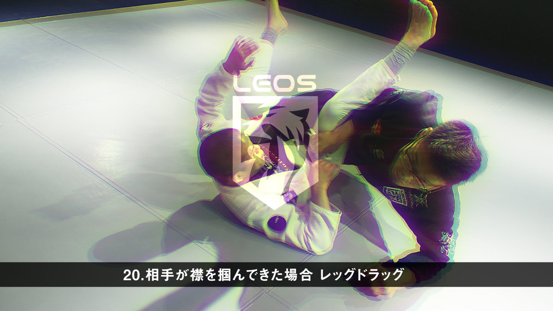 森戸新士 ワンレッグX ドミナンス 動画版(vimeo版・Dropbox版 森戸新士 ワンレッグX ドミナンス 動画版(vimeo版・Dropbox版