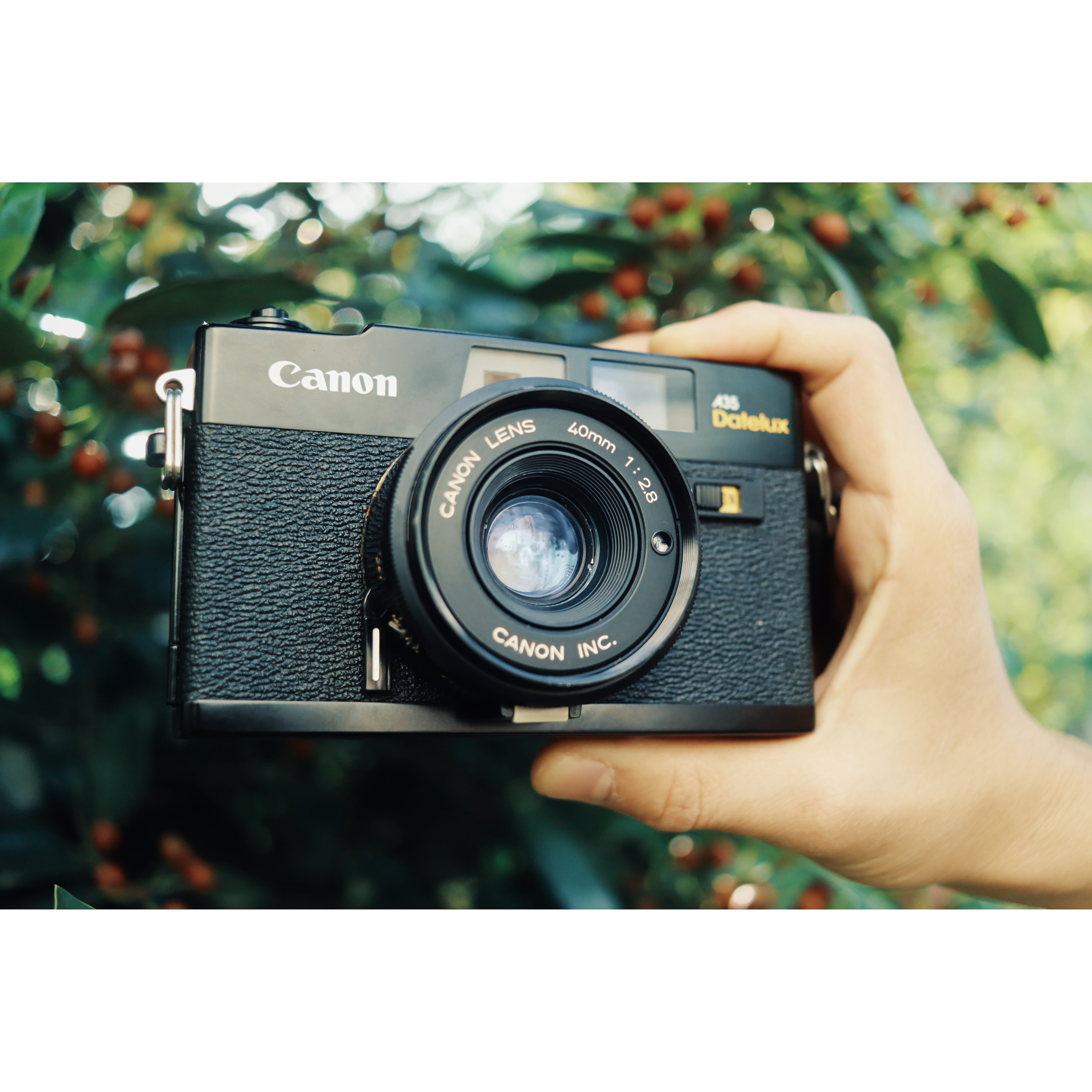 Canon A35 Datelux / キャノン | boromeez camera ◎ ボロミーズカメラ