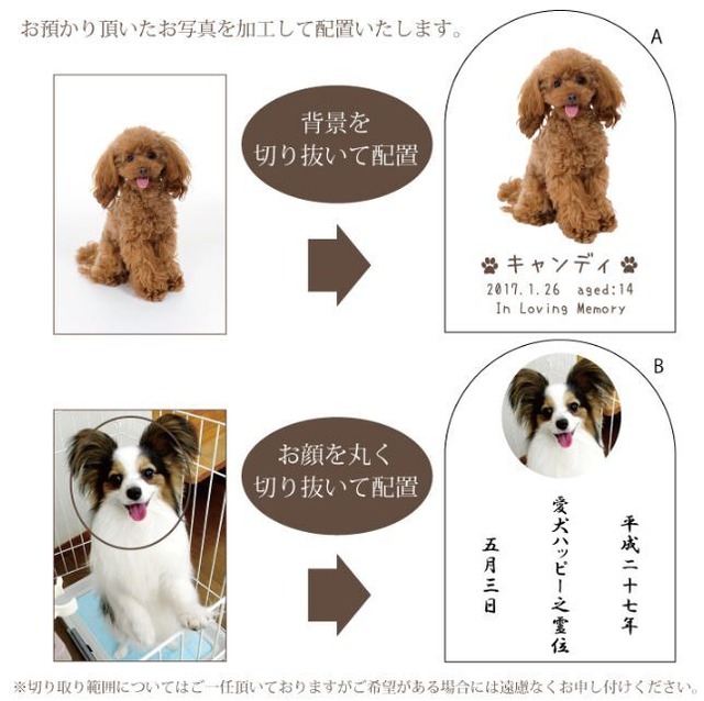 グレイブクリスタル