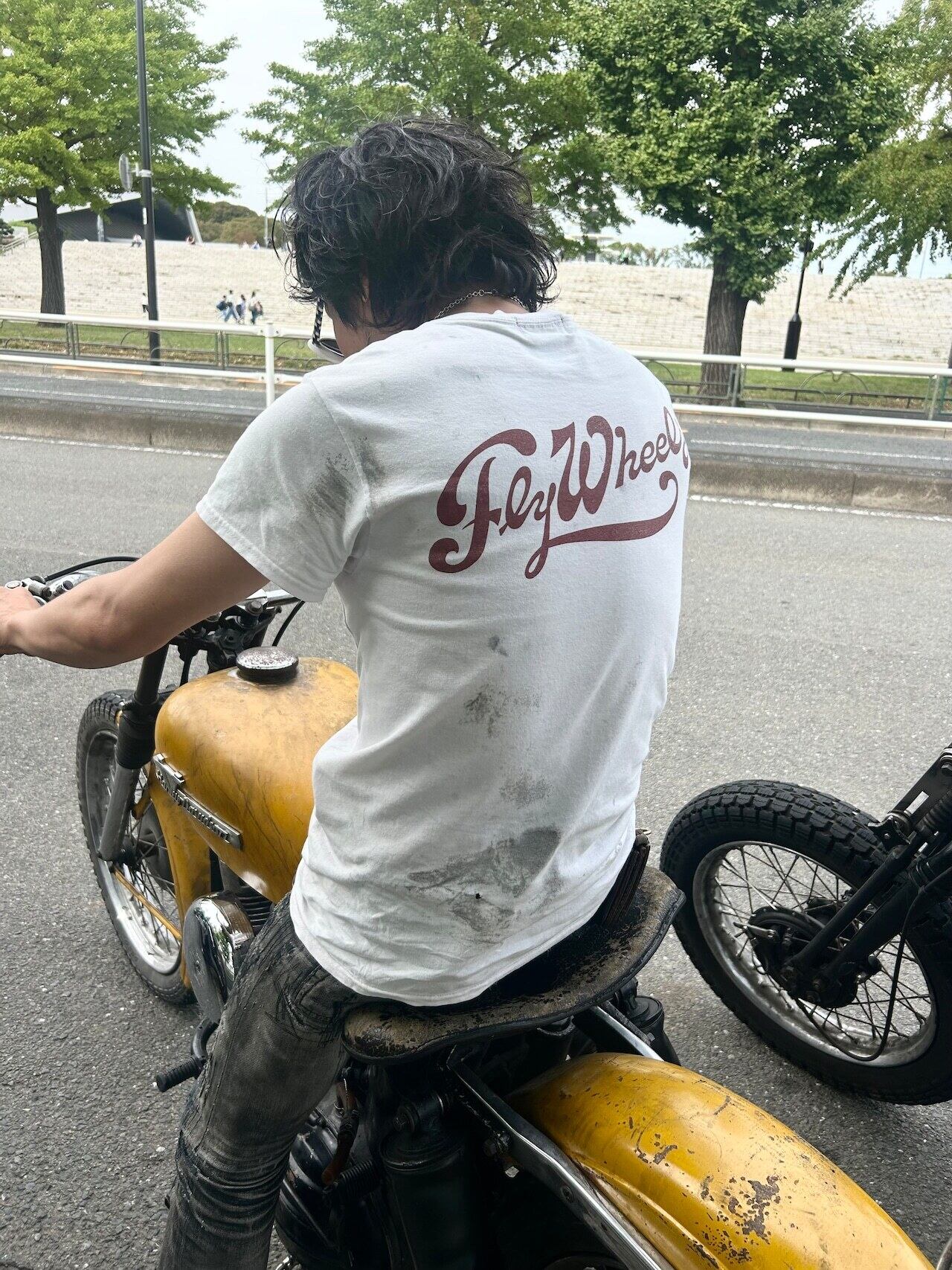 年間定期購読 | Fly Wheels