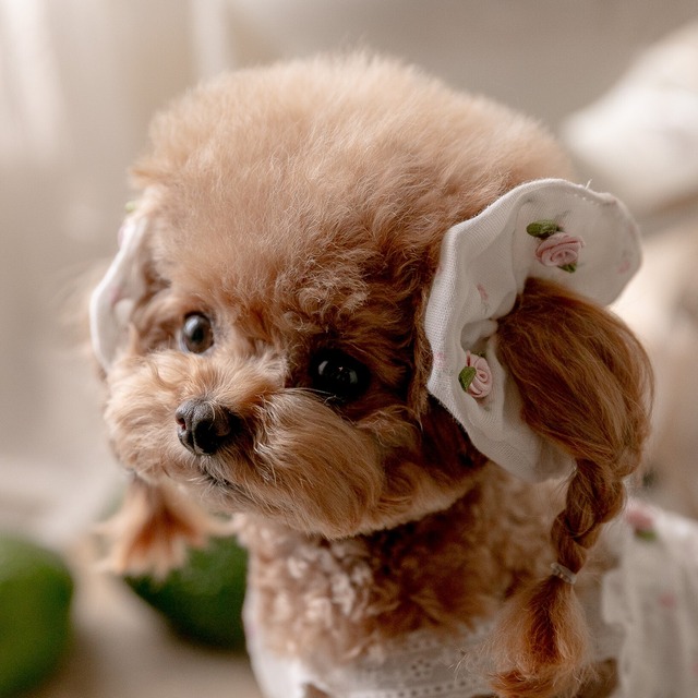 【予約】[kiki&nini] Fleur Hair Scrunchie (2 colors)