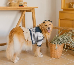 【TODLEY】With You One-Piece/navy