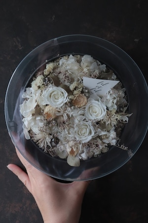 Preserved flower plate arrange L-[HAKUJI]送料込