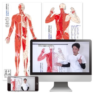 解剖経穴タオル 前後面2枚＋オンライン教材(基礎編2本)セット