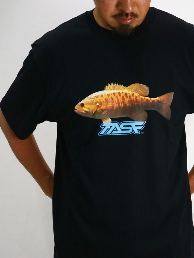TASF / スモールマウスTee / Black